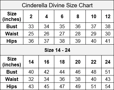 Long Cap Sleeve Metallic Lace Dress by Cinderella Divine HT011